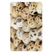 Magnet Flexible Oeufs de caille (Vertical)