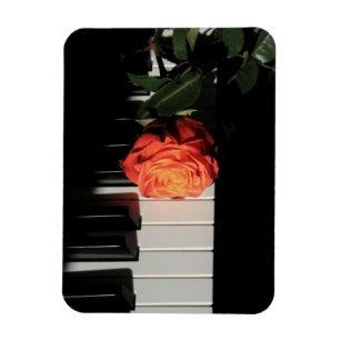 Magnet Flexible Oeuvre de piano Extraordinaire