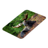 Magnet Flexible Oie (Côté Gauche)