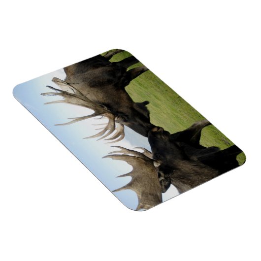 Magnet Flexible Oie (Côté Droit)