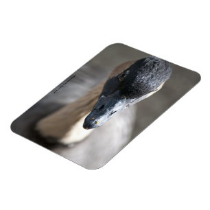 Magnet Flexible Oie