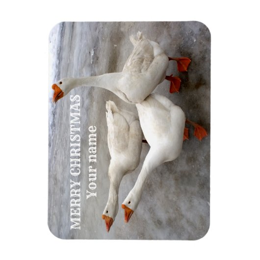 Magnet Flexible Oie blanche (Vertical)