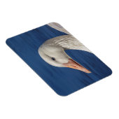 Magnet Flexible Oie blanche canadienne (Côté Droit)