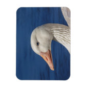 Magnet Flexible Oie blanche canadienne (Vertical)