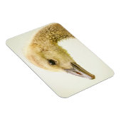 Magnet Flexible Oie canadienne (Gosling) (Côté Droit)