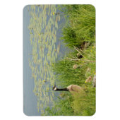 Magnet Flexible Oie canadienne par lentilles d'eau Aimant flexible (Vertical)