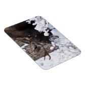 Magnet Flexible Oie chilienne (Côté Droit)