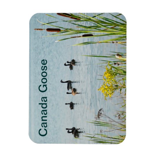 Magnet Flexible Oies Et Cattons Du Canada (Vertical)