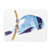 Magnet Flexible Oiseau bleu (Horizontal)