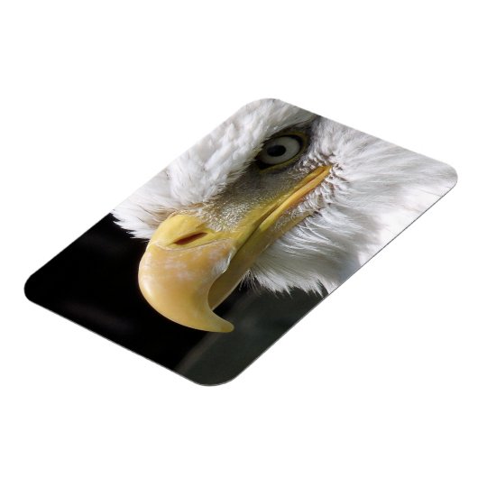 MAGNET FLEXIBLE OISEAU D'AGLE (Côté Gauche)