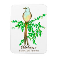 Oiseau de chasse à la mouche de l'Oklahoma