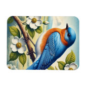 Magnet Flexible Oiseau de l'Est du Missouri (Horizontal)