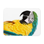 Magnet Flexible Oiseau de perroquet tropical (Horizontal)