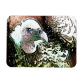 MAGNET FLEXIBLE OISEAU DE PREY VULTURE (Horizontal)