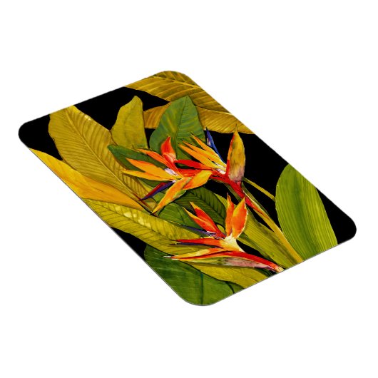 Magnet Flexible Oiseau du Paradis (Côté Droit)