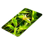 Magnet Flexible Oiseau du Paradis (Côté Gauche)