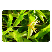 Magnet Flexible Oiseau du Paradis (Horizontal)