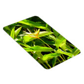 Magnet Flexible Oiseau du Paradis (Côté Droit)