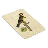 Magnet Flexible Oiseau jaune et vert perché sur une petite branche (Côté Droit)