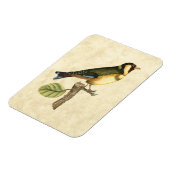 Magnet Flexible Oiseau jaune et vert perché sur une petite branche (Côté Gauche)