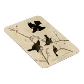 Magnet Flexible Oiseau noir à ailes rouges - Oiseaux d'Amérique d' (Côté Droit)
