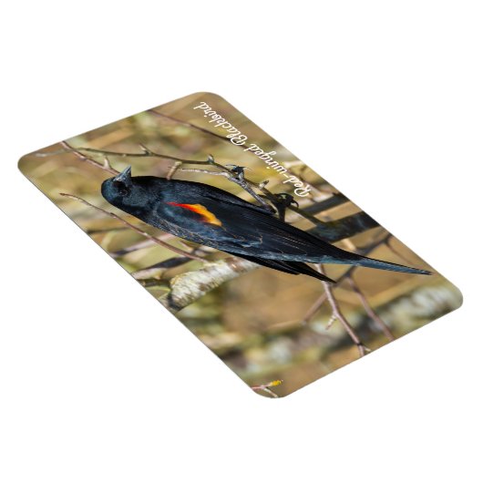 Magnet Flexible Oiseau roux (Côté Droit)