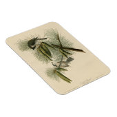 Magnet Flexible Oiseaux d'Amérique à pois (touffus) (Côté Droit)