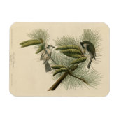 Magnet Flexible Oiseaux d'Amérique à pois (touffus) (Horizontal)