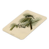 Magnet Flexible Oiseaux d'Amérique à pois (touffus) (Côté Gauche)