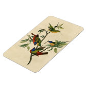 Magnet Flexible Oiseaux d'Amérique d'Audubon (Côté Gauche)
