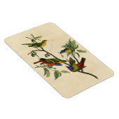 Magnet Flexible Oiseaux d'Amérique d'Audubon (Côté Droit)