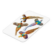 Magnet Flexible Oiseaux de faisan sauvage ornemental Premium Magne (Côté Gauche)