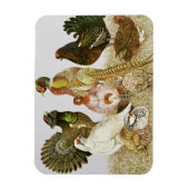 Magnet Flexible Oiseaux de jeu (Vertical)