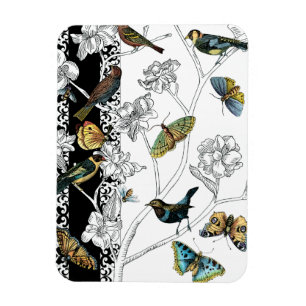 Magnet Flexible Oiseaux et papillons sur un Arrière - plan noir et