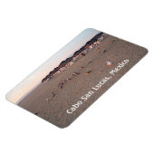 Magnet Flexible Oiseaux sur la plage de Cabo (Côté Gauche)
