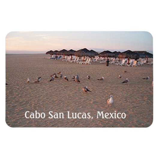 Magnet Flexible Oiseaux sur la plage de Cabo (Horizontal)