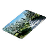 MAGNET FLEXIBLE OLIVIERS EN TOSCANE DE RIMAGGIO (Côté Gauche)