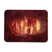 Magnet Flexible Ombre oculaire (Horizontal)