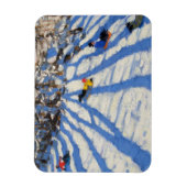 Magnet Flexible Ombres de l'arbre Morzine (Vertical)