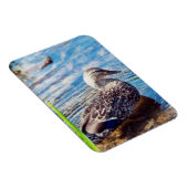 Magnet Flexible Ondulations (Côté Droit)