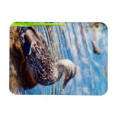 Magnet Flexible Ondulations (Horizontal)