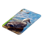 Magnet Flexible Ondulations (Côté Gauche)