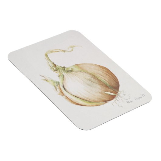 Magnet Flexible Onion Study 1993 (Côté Droit)