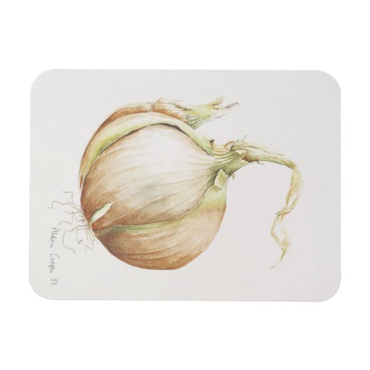 Magnet Flexible Onion Study 1993 (Horizontal)