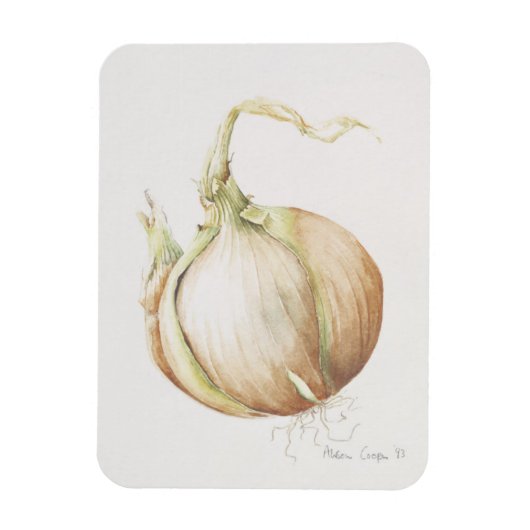 Magnet Flexible Onion Study 1993 (Vertical)