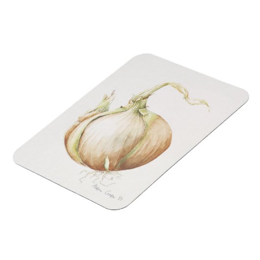 Magnet Flexible Onion Study 1993 (Côté Gauche)