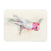 Magnet Flexible Opera Cockatoo (Horizontal)