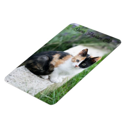 Magnet Flexible Opera Phantom Chat (Côté Gauche)