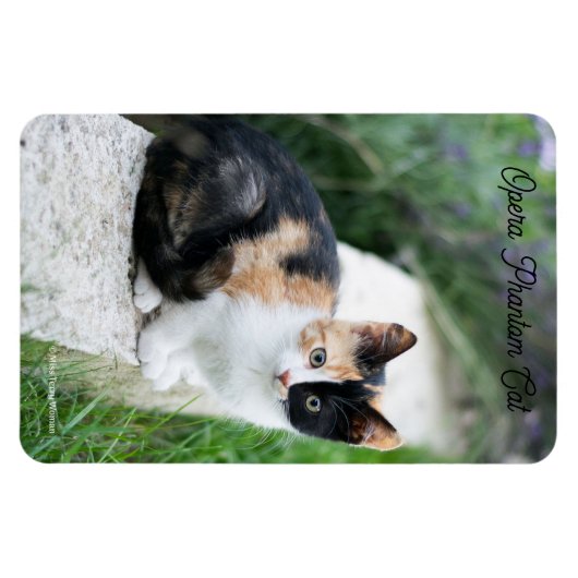 Magnet Flexible Opera Phantom Chat (Horizontal)