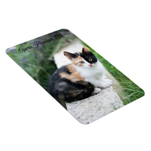 Magnet Flexible Opera Phantom Chat (Côté Droit)